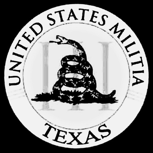 Texas Militia Decal Sticker