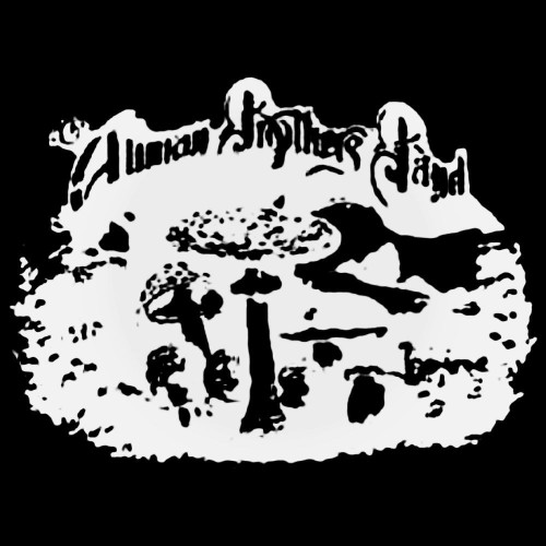 The Allman Brothers Band Decal Sticker