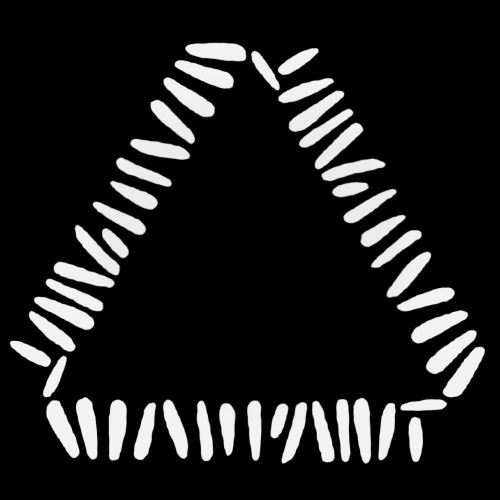 Warpaint Band Decal Sticker