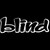 Blind Outer Skateboard Decal Sticker