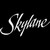Cessna Skylane 101 Aviation Decal Sticker