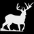 Deer Buck 17 Sticker