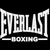 Everlast Boxing Decal Sticker