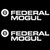 Federal Mogul Decal Sticker