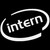 Intern Oval Decal Sticker