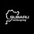 Nurburgring Subaru Vinyl Decal Sticker