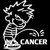 Piss Pee On Cancer Vinyl Decal Sticker