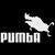 Pumba Decal