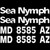 Sea Nymph 8585 Boat Kit Decal Sticker