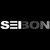 Seibon Carbon S Vinl Car Graphics Decal Sticker