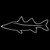 Snook Outline Decal Sticker