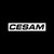 Stickers Cesam Logo Vinyl Decal Sticker