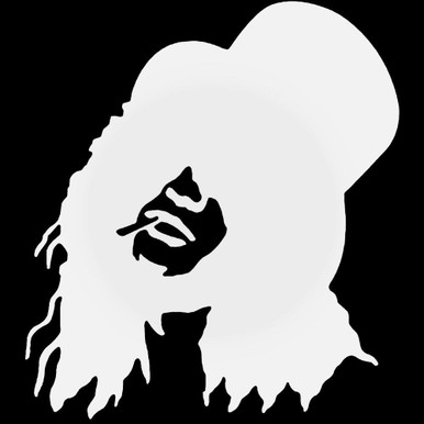 Rock Band s Guns Roses Slash Decal