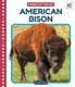 American Bison View Product Image