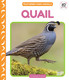 Quail View Product Image