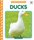 Ducks View Product Image