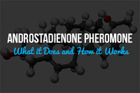 Androstadienone Pheromone: What it Does and How it Works