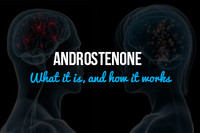 Androstenone: What it is, and how it works.