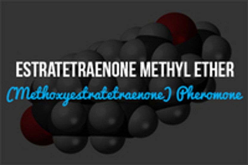 Estratetraenone Methyl Ether (Methoxyestratetraenone) Pheromone: what it is and How it Works