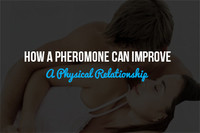 How A Pheromone Can Improve A Physical Relationship