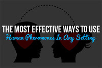 The Most Effective Ways To Use Human Pheromones In Any Setting