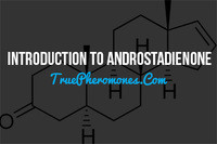 The Effects of the Androstadienone Pheromone
