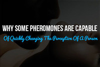 Why Some Pheromones Are Capable Of Quickly Changing The Perception Of A Person