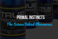Primal Instincts; The Science Behind Pheromones 
