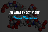 So What Exactly Are Human Pheromones?