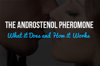 The Androstenol Pheromone: What it Does and How it Works