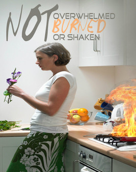 Not Overwhelmed, Burned or Shaken-MP3