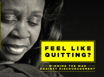 Feel Like Quitting-MP3