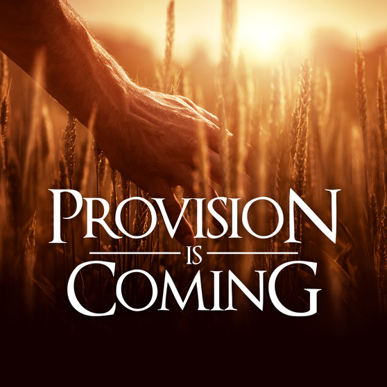 Provision Is Coming-MP3