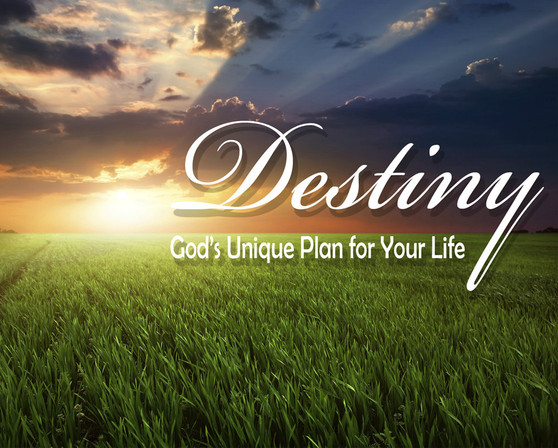 Destiny- Gods Unique Plan for Your Life-MP3