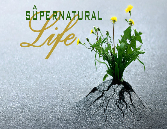A Supernatural Life-MP3