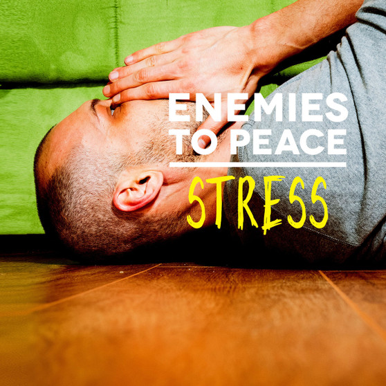 Enemies to Peace - Stress-MP3