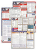 Massachusetts, Federal, and Contractor Poster Set