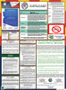 Arizona State Labor Law Posters