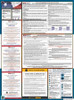 Colorado State Labor Law Posters
