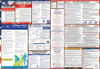 Colorado Labor Law Posters State and Federal Combo