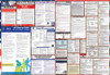 District of Columbia Labor Law Posters State and Federal Combo
