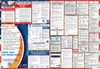 District of Columbia Labor Law Posters State and Federal Combo