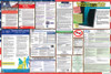 Florida Labor Law Posters State and Federal Combo