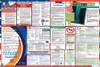 Florida Labor Law Posters State and Federal Combo