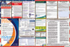 Georgia Labor Law Posters State and Federal Combo