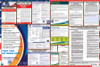 Georgia Labor Law Posters State and Federal Combo