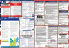 Hawaii Labor Law Posters State and Federal Combo Hawaii Labor Law Posters State and Federal Combo