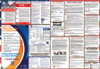 Hawaii Labor Law Posters State and Federal Combo