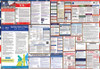 Illinois Labor Law Posters State and Federal Combo