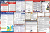Indiana Labor Law Posters State and Federal Combo